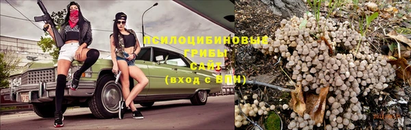 MESCALINE Аркадак