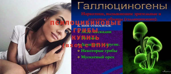 PSILOCYBIN Балабаново