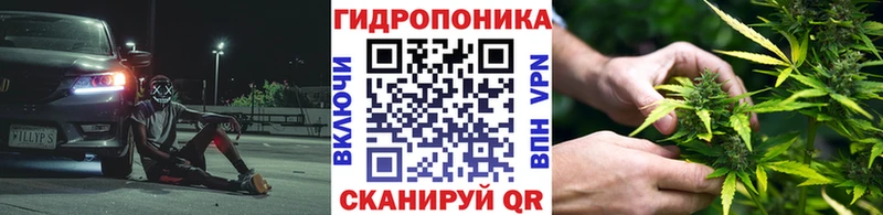 МАРИХУАНА OG Kush  Сим 